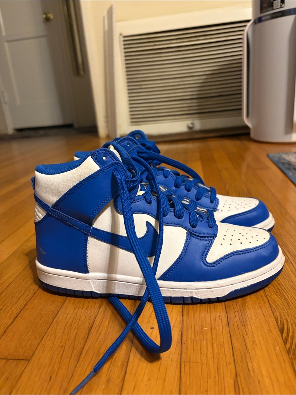 Nike High Top Dunks in Blue